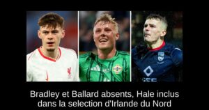 Bradley et Ballard absents, Hale inclus dans la selection d&rsquo;Irlande du Nord