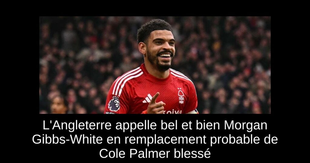 L'Angleterre appelle bel et bien Morgan Gibbs-White en remplacement probable de Cole Palmer blessé