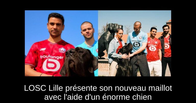 LOSC Lille présente son nouveau maillot avec l'aide d'un énorme chien
