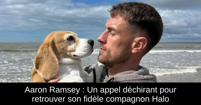 Aaron Ramsey : Un appel déchirant pour retrouver son fidèle compagnon Halo