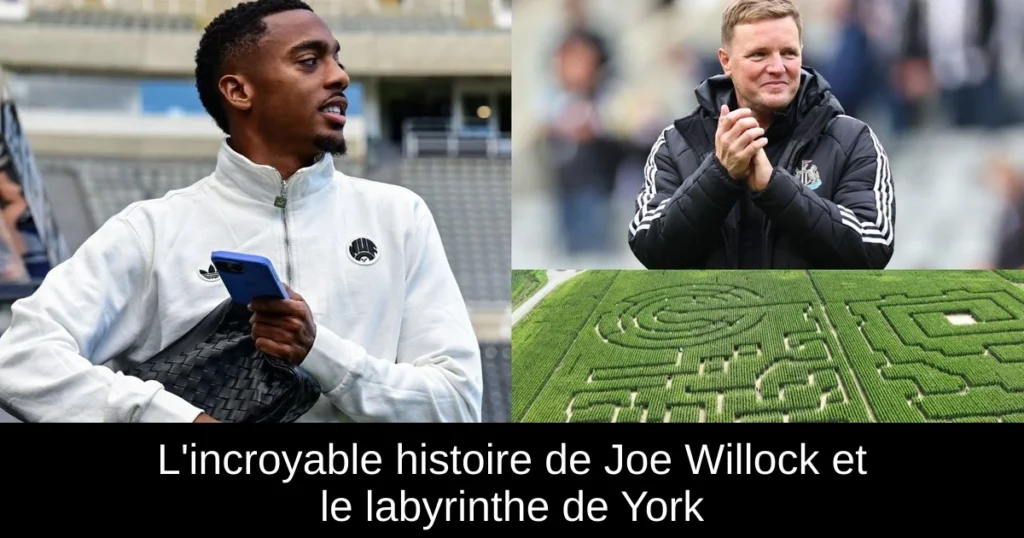 L'incroyable histoire de Joe Willock et le labyrinthe de York