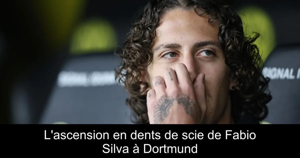 L'ascension en dents de scie de Fabio Silva à Dortmund