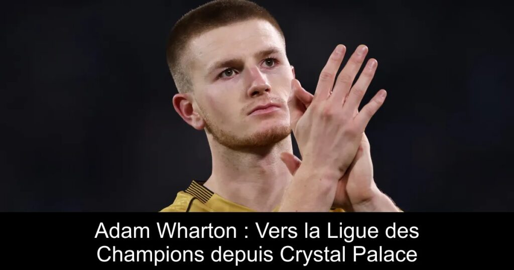 Adam Wharton : Vers la Ligue des Champions depuis Crystal Palace