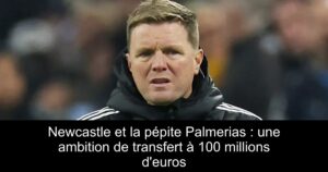 Newcastle et la pépite Palmerias : une ambition de transfert à 100 millions d&rsquo;euros