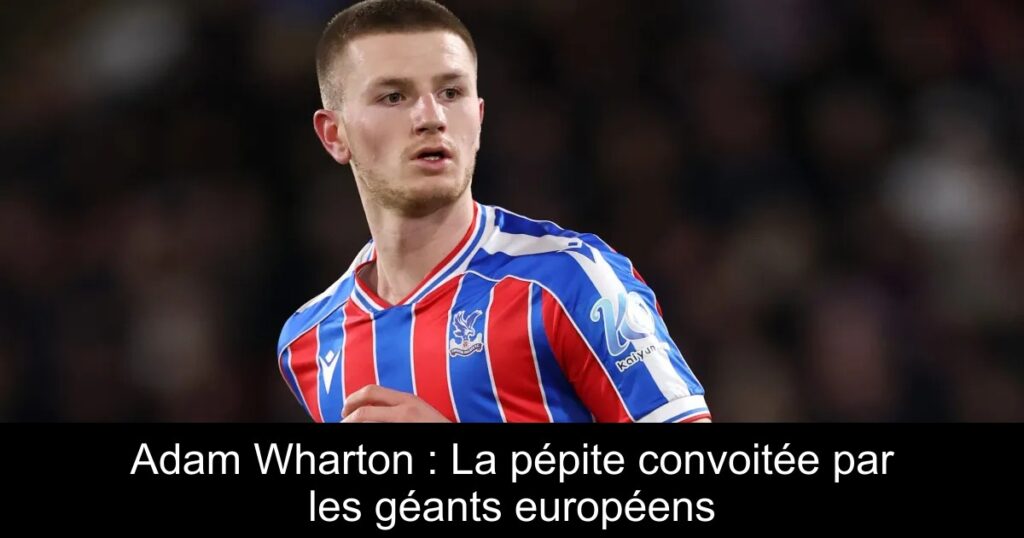 Adam Wharton : La pépite convoitée par les géants européens