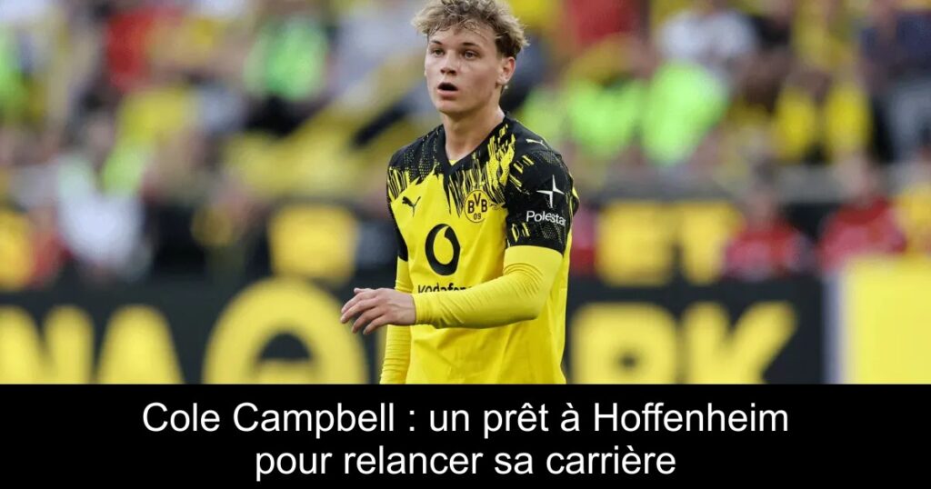 Cole Campbell : un prêt à Hoffenheim pour relancer sa carrière
