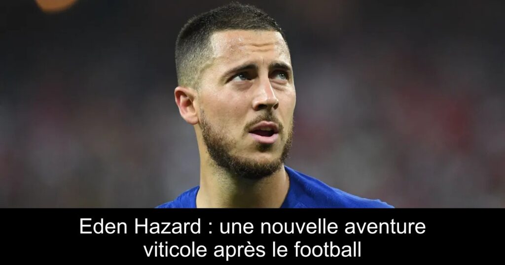 Eden Hazard : une nouvelle aventure viticole après le football