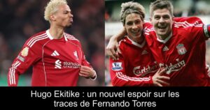 Hugo Ekitike : un nouvel espoir sur les traces de Fernando Torres