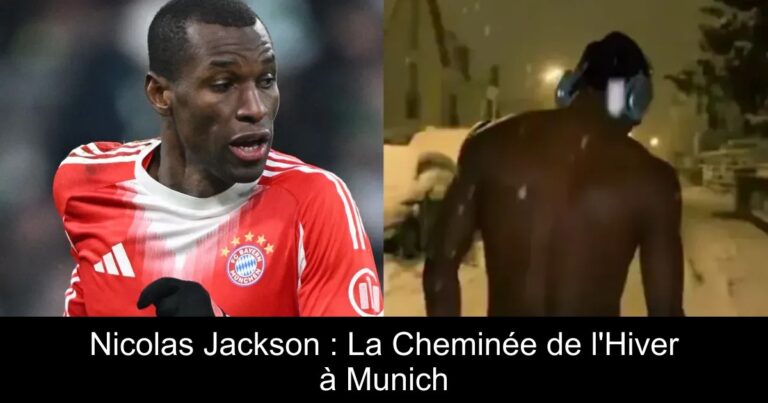 Nicolas Jackson : La Cheminée de l'Hiver à Munich