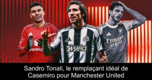 Sandro Tonali, le remplaçant idéal de Casemiro pour Manchester United