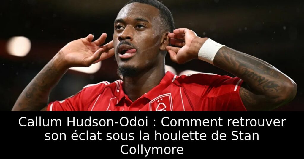 Callum Hudson-Odoi : Comment retrouver son éclat sous la houlette de Stan Collymore