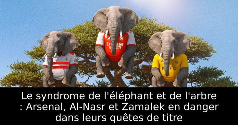 Le syndrome de l'éléphant et de l'arbre : Arsenal, Al-Nasr et Zamalek en danger dans leurs quêtes de titre