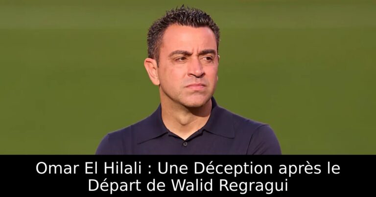 Omar El Hilali : Une Déception après le Départ de Walid Regragui