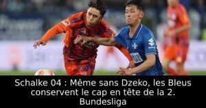 Schalke 04 : Même sans Dzeko, les Bleus conservent le cap en tête de la 2. Bundesliga