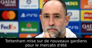 Tottenham mise sur de nouveaux gardiens pour le mercato d&rsquo;été
