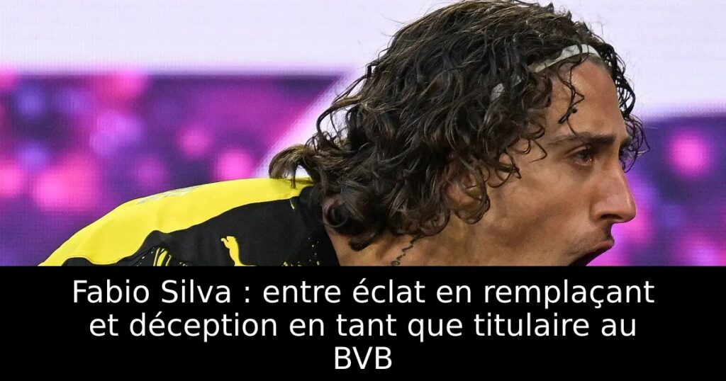 Fabio Silva : entre éclat en remplaçant et déception en tant que titulaire au BVB