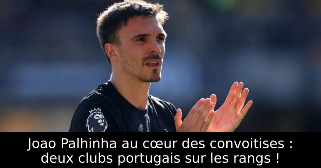 Joao Palhinha au cœur des convoitises : deux clubs portugais sur les rangs !