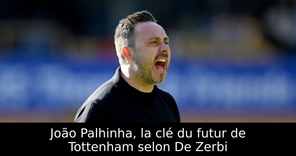 João Palhinha, la clé du futur de Tottenham selon De Zerbi