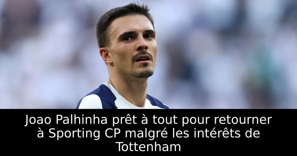 Joao Palhinha prêt à tout pour retourner à Sporting CP malgré les intérêts de Tottenham