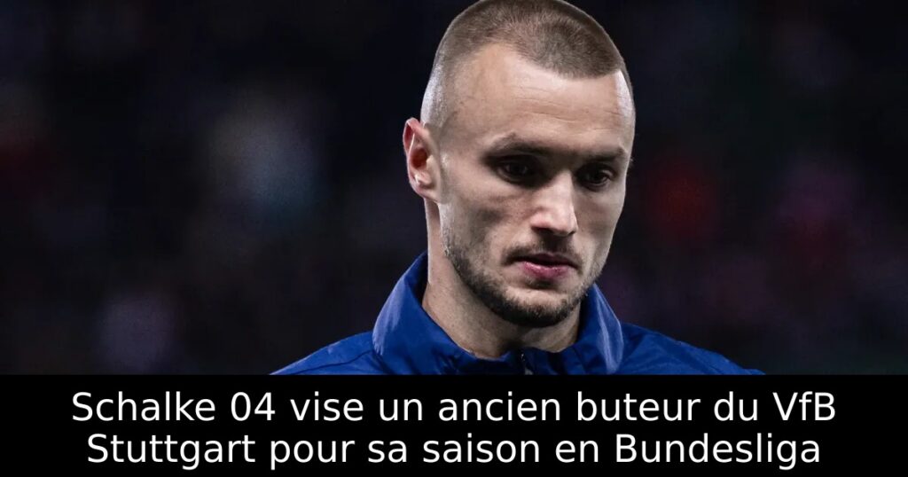 Schalke 04 vise un ancien buteur du VfB Stuttgart pour sa saison en Bundesliga