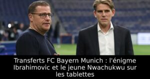 Transferts FC Bayern Munich : l&rsquo;énigme Ibrahimovic et le jeune Nwachukwu sur les tablettes