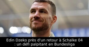 Edin Dzeko près d&rsquo;un retour à Schalke 04 : un défi palpitant en Bundesliga