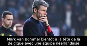 Mark van Bommel bientôt à la tête de la Belgique avec une équipe néerlandaise