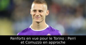 Renforts en vue pour le Torino : Perri et Comuzzo en approche