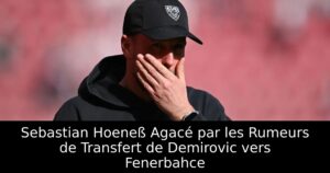 Sebastian Hoeneß Agacé par les Rumeurs de Transfert de Demirovic vers Fenerbahce