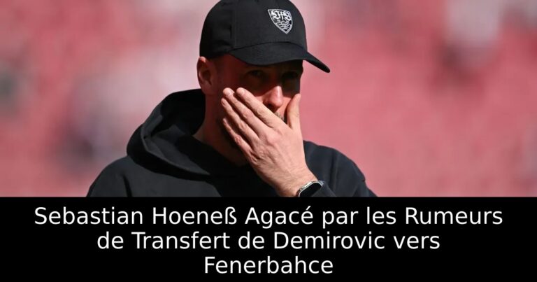 Sebastian Hoeneß Agacé par les Rumeurs de Transfert de Demirovic vers Fenerbahce