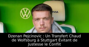 Dzenan Pejcinovic : Un Transfert Chaud de Wolfsburg à Stuttgart Évitant de Justesse le Conflit