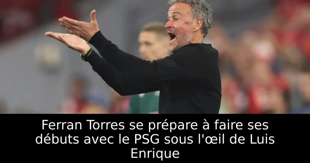 Ferran Torres se prépare à faire ses débuts avec le PSG sous l&rsquo;œil de Luis Enrique