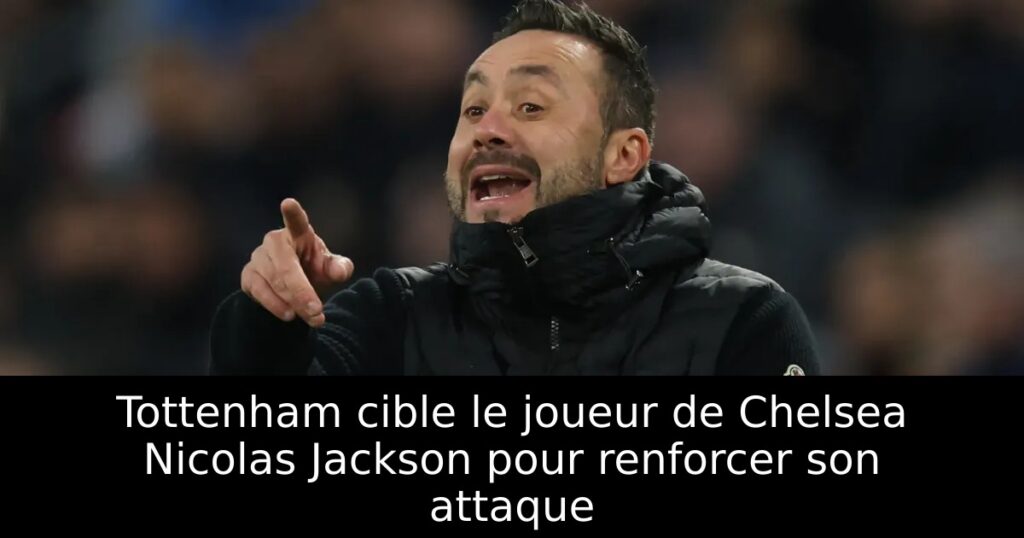 Tottenham cible le joueur de Chelsea Nicolas Jackson pour renforcer son attaque