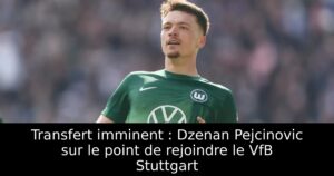 Transfert imminent : Dzenan Pejcinovic sur le point de rejoindre le VfB Stuttgart