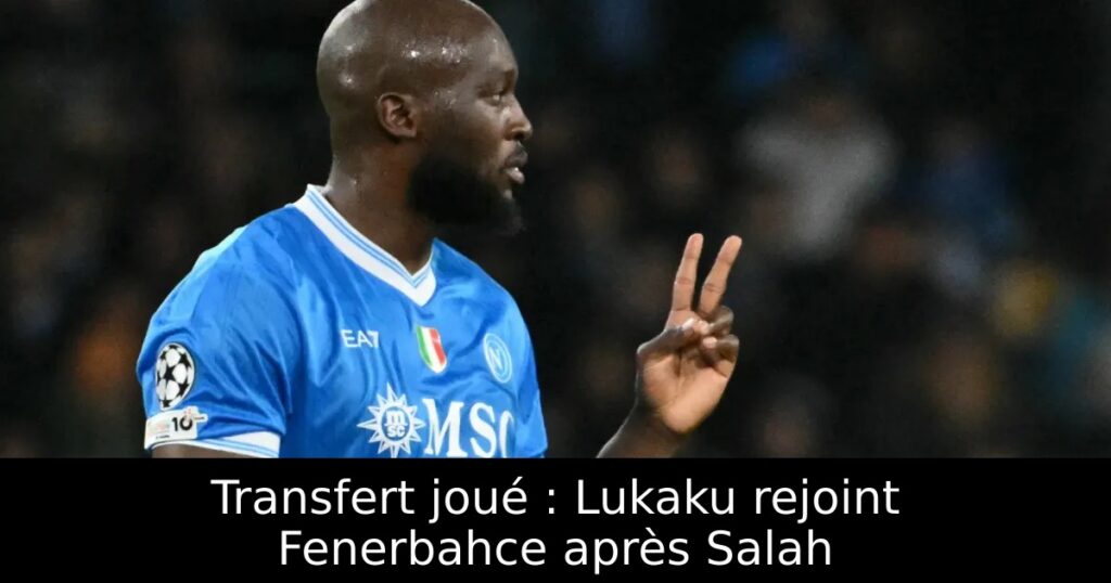 Transfert joué : Lukaku rejoint Fenerbahce après Salah