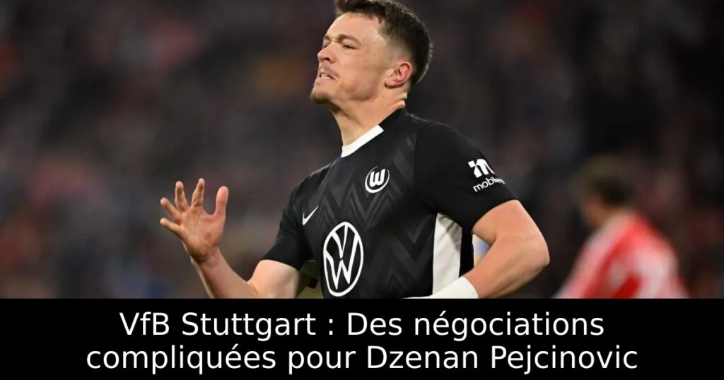 VfB Stuttgart : Des négociations compliquées pour Dzenan Pejcinovic