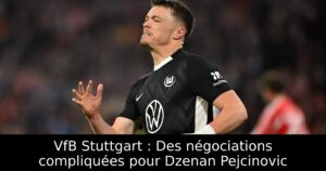 VfB Stuttgart : Des négociations compliquées pour Dzenan Pejcinovic