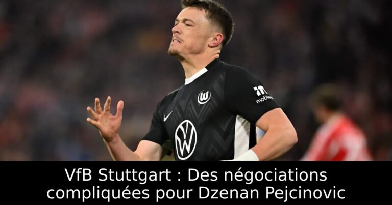 VfB Stuttgart : Des négociations compliquées pour Dzenan Pejcinovic
