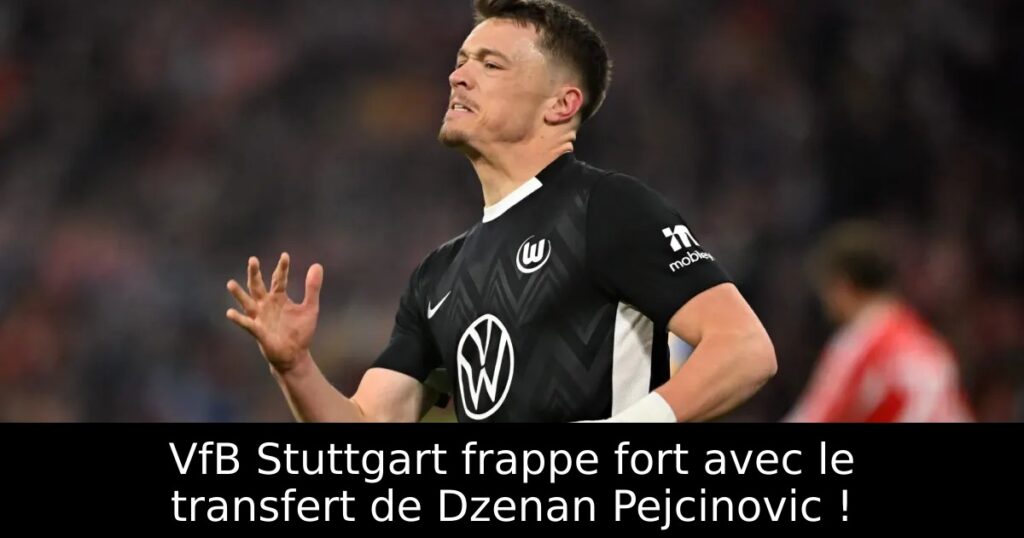 VfB Stuttgart frappe fort avec le transfert de Dzenan Pejcinovic !