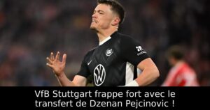 VfB Stuttgart frappe fort avec le transfert de Dzenan Pejcinovic !