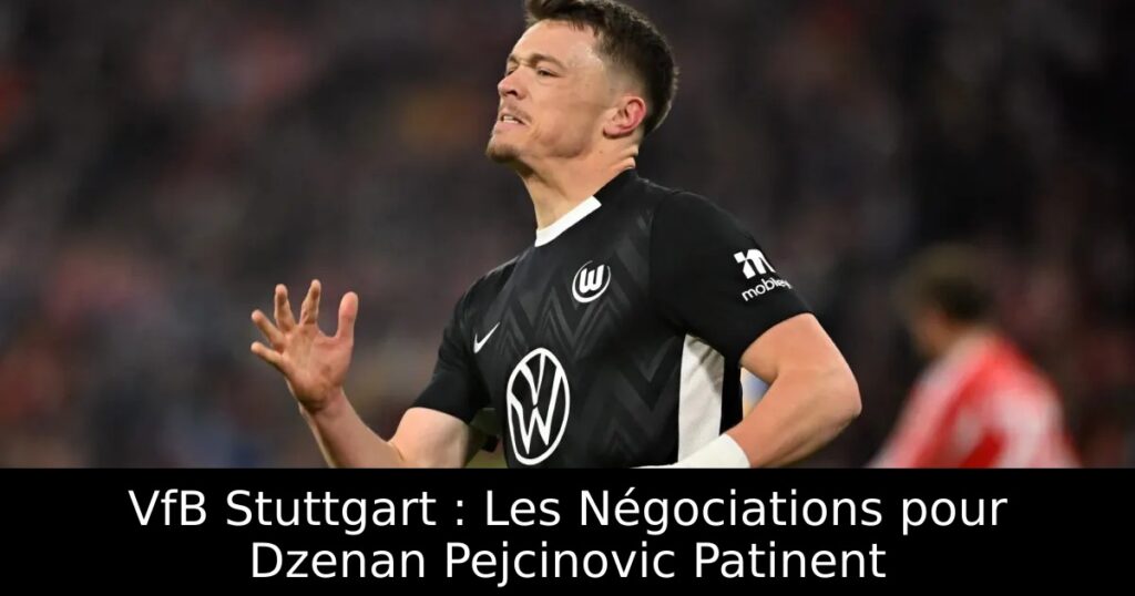 VfB Stuttgart : Les Négociations pour Dzenan Pejcinovic Patinent