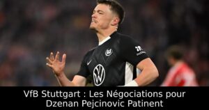VfB Stuttgart : Les Négociations pour Dzenan Pejcinovic Patinent