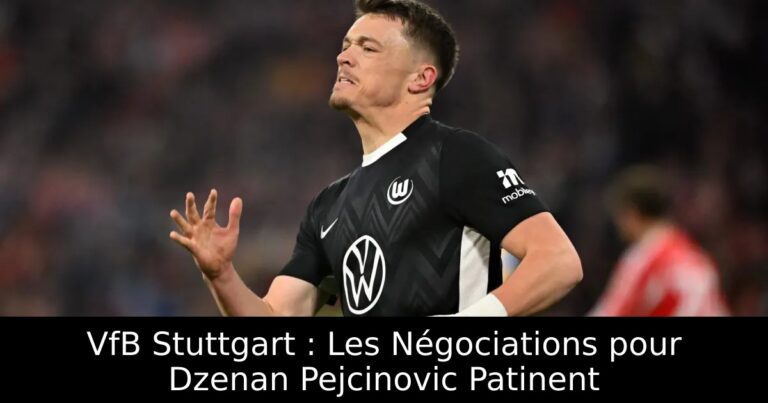 VfB Stuttgart : Les Négociations pour Dzenan Pejcinovic Patinent