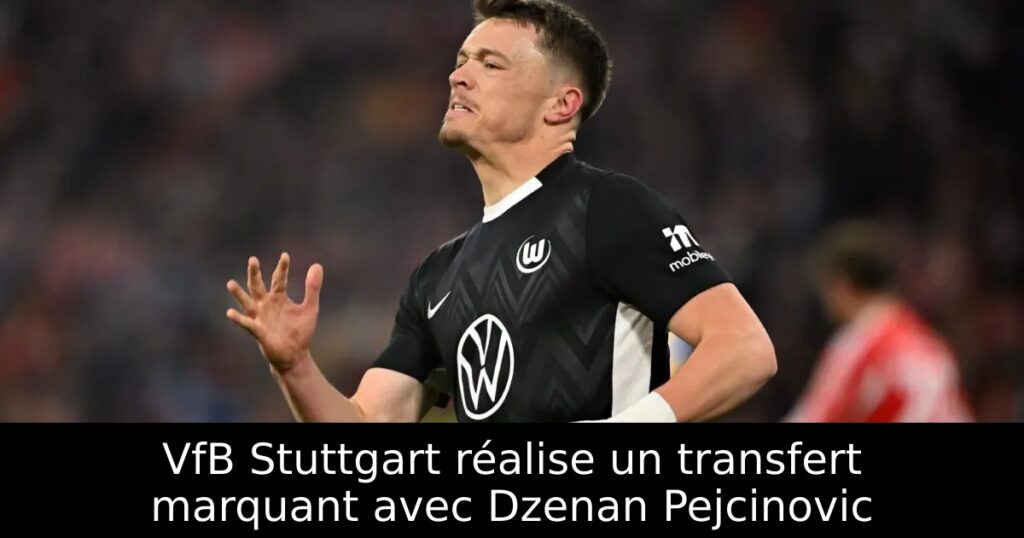 VfB Stuttgart réalise un transfert marquant avec Dzenan Pejcinovic