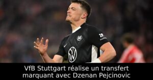 VfB Stuttgart réalise un transfert marquant avec Dzenan Pejcinovic