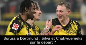 Borussia Dortmund : Silva et Chukwuemeka sur le départ ?