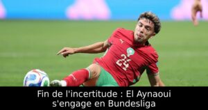 Fin de l&rsquo;incertitude : El Aynaoui s&rsquo;engage en Bundesliga