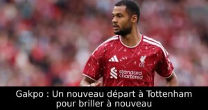 Gakpo : Un nouveau départ à Tottenham pour briller à nouveau