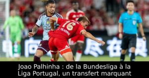 Joao Palhinha : de la Bundesliga à la Liga Portugal, un transfert marquant