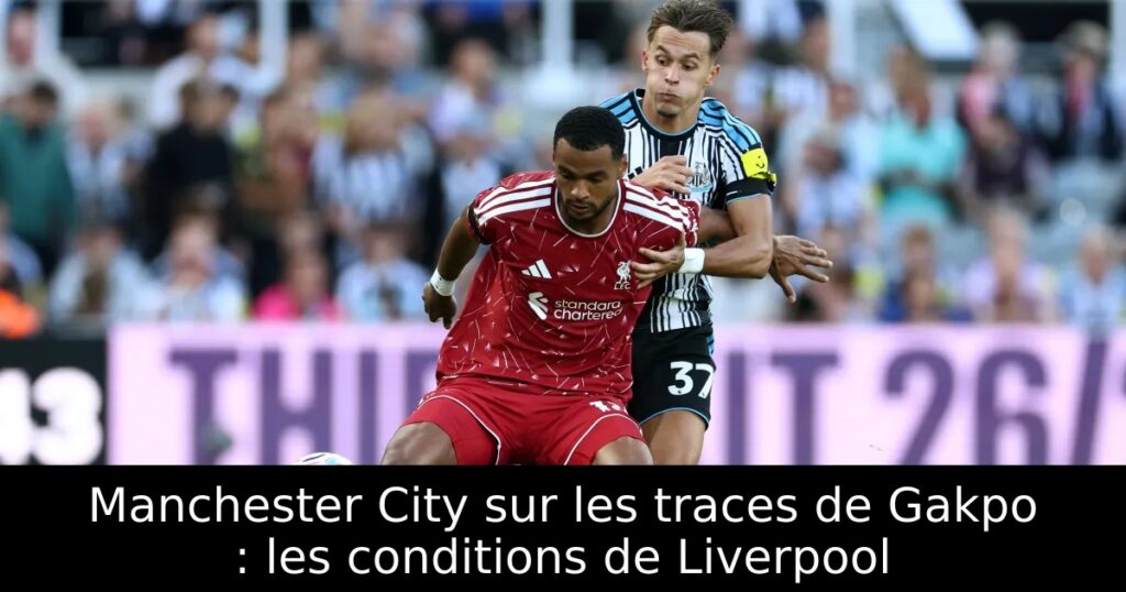 Manchester City sur les traces de Gakpo : les conditions de Liverpool